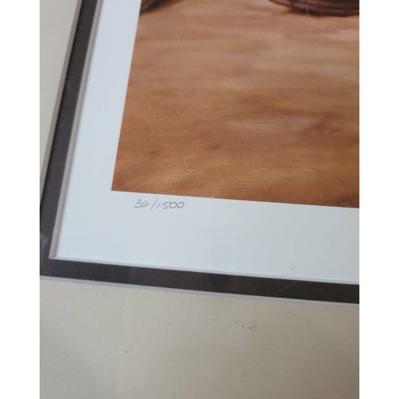 RARE LOW NUMBER Jim Daly " Home Team Zero" S/N 31/1500 - Picture 7 of 10